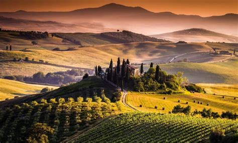 Tuscan Vineyard The Best Wines Of Tuscany To Be Tasted Italy2love