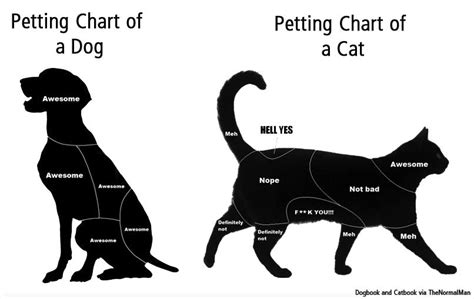 Kitty Nip Petting Chart Of A Dog And A Cat We Heart It