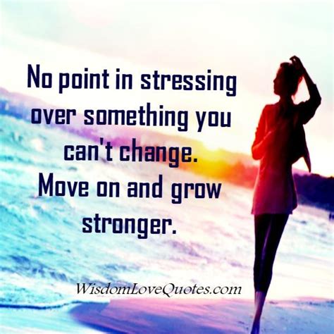 Stressing Over Something You Cant Change Wisdom Love Quotes