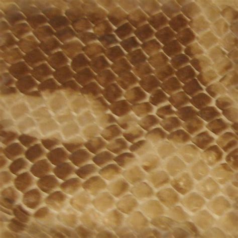 Snake Skin Seamless Texture By Fantasystock On Deviantart