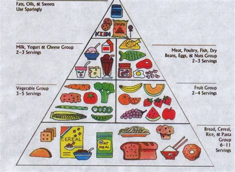 But what they all have in. Food Pyramid For Kids Pdf