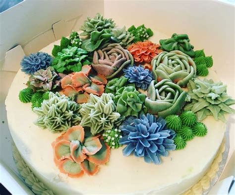 Buttercream Succulents