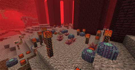 Plus, from what i've seen in various let's play, cactus seems to grow with no problem in the end. Better Nether - WIP Mods - Minecraft Mods - Mapping and ...