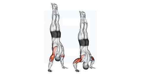 Handstand Push Up Guide Benefits And Form