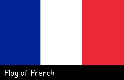 Why did the french change their flag? French Flag Facts for Kids