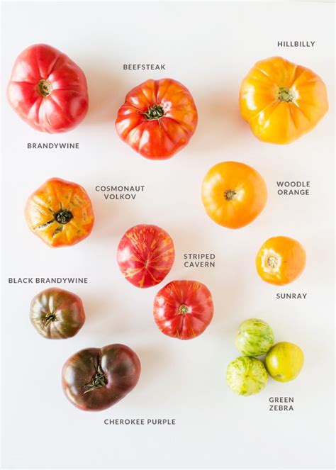 Different Types Of Tomatoes On A White Background With The Names In