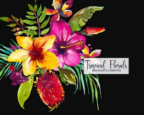 Tropical Flowers Watercolor Clipart Tropics Australian Florals Etsy