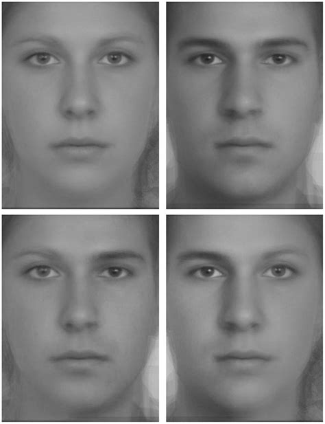 Frontiers Modifications Of Visual Field Asymmetries For Face