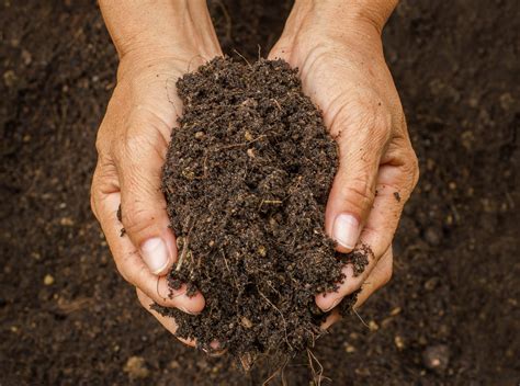 Soil Pollution Is A Source Of Antibiotic Resistance