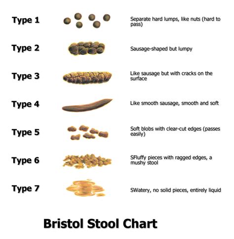 Bristol Stool Color Chart Stools Item Poop Color Meaning Effy Moom