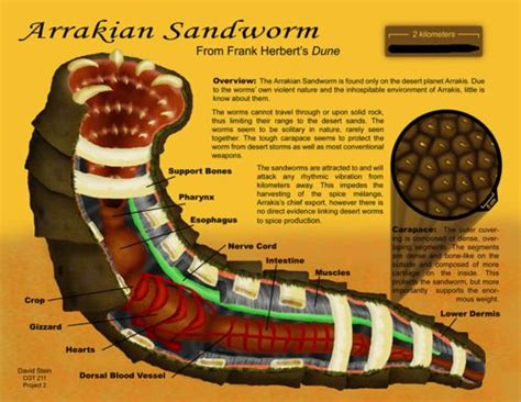 Arrakian Sandworm Dune Sandworm Arrakis Sci Fi And Fantasy