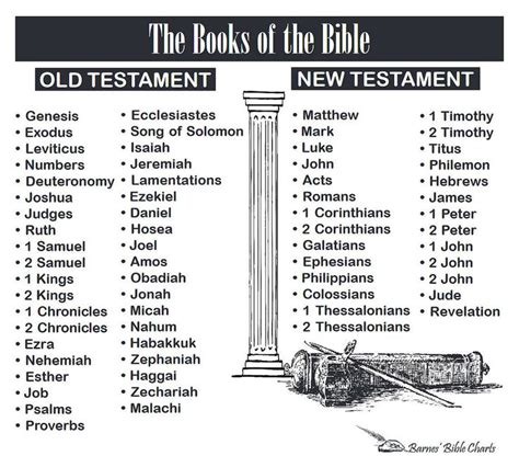The Books Of The Bible Books Of The Bible Bible Doctrine Bible