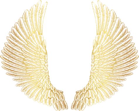 transparent wings png - Wings Png , Png Download - Golden Wings Png | #919442 - Vippng