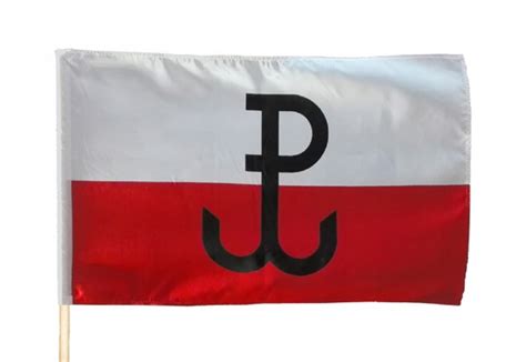 Stawiamy na najwyższej jakości ubrania patriotyczne, wyprodukowane w polsce, cechujące się trwałością i komfortem noszenia. Flaga Polska Walcząca 110x70 Flagi Polski # tunel ...