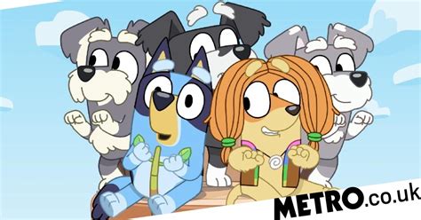 Bluey Episode ‘banned In Us ‘because Character Farted Metro News