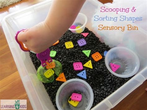 Toddleractivities Sorting Shapes In Our Sensory Bin