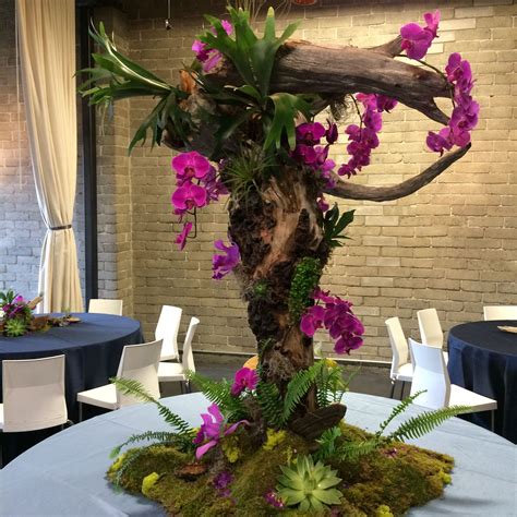 We Created This Sculpture From Driftwood With Phalaenopsis Orchids Succulents Staghorn Ferns