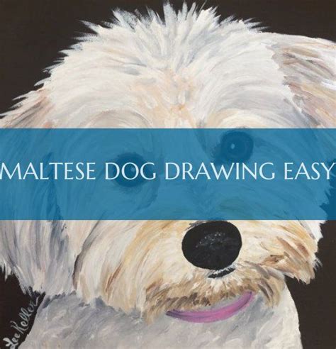 23 Maltese Dog Drawing Easy L2sanpiero
