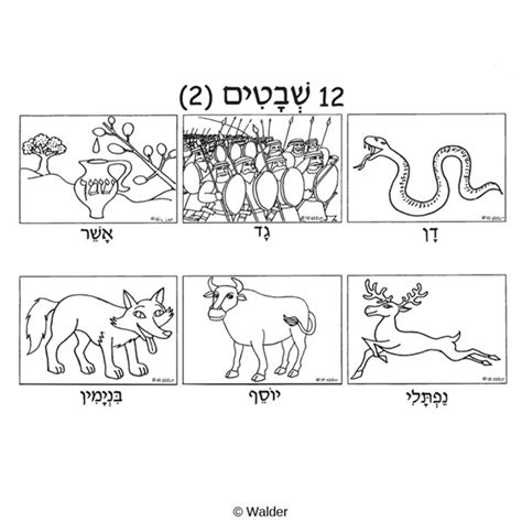 12 Tribes Of Israel Genealoy Chart Sketch Coloring Page