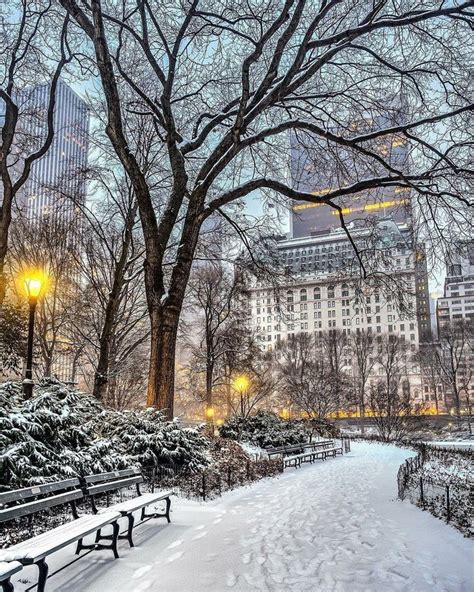 Newyorkcityfeelings On Twitter New York Winter Nyc Christmas New