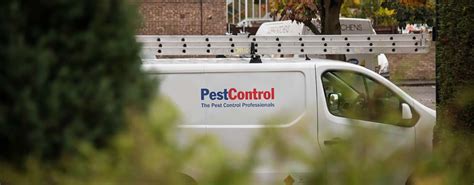 Diy bug store provides top quality professional pest control products for insect control. pest control | Bug Busters Bham