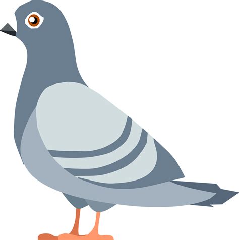 Download Free Columbidae Pigeon Domestic Free Hd Image Icon Favicon