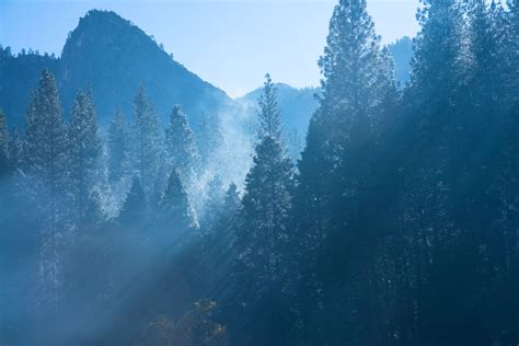 High Beam By Kristina Pchelintseva 500px Foggy Morning Natural