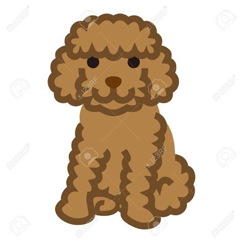 Easy Toy Poodle Drawing Iphonelockscreenwallpapermarble