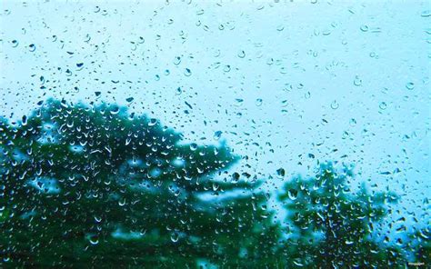 15 Raindrop Hd Psd Images Water Drop Desktop Wallpaper Free Rain