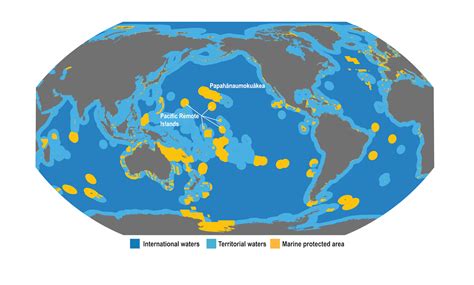 Does Protecting The Sea Harm Fishermen Its Complicated The Counter