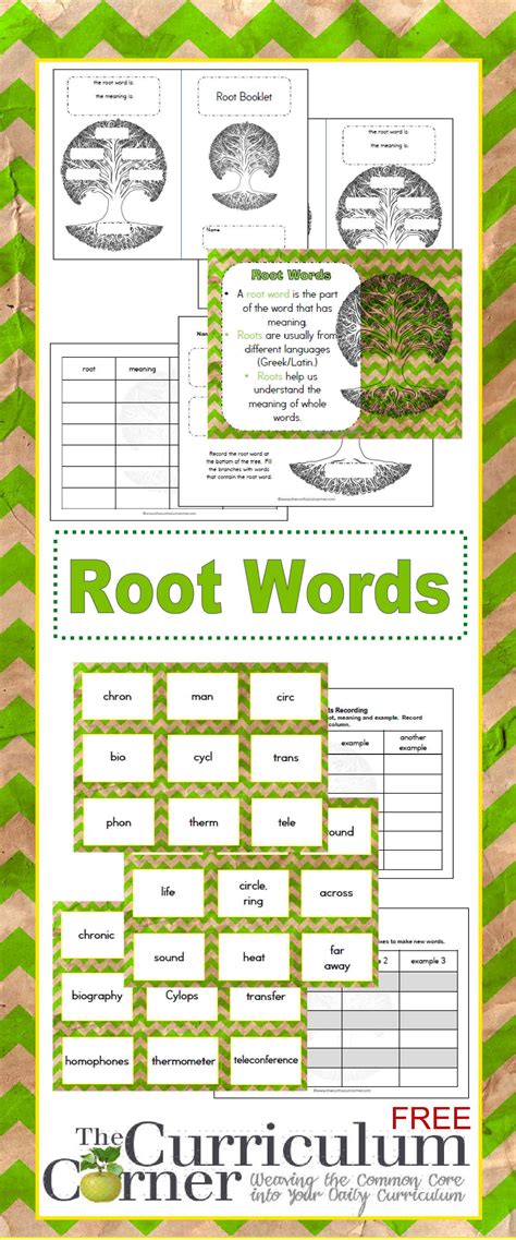 Root Words Free From The Curriculum Corner Graphic Organizers Card