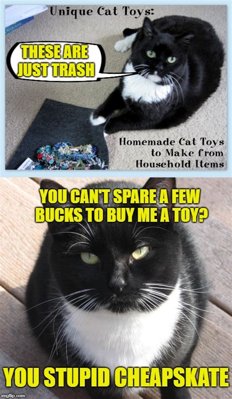 Next20 of the best halloween web comics. Funny Caturday Meme : These 27 Lazy Cat Memes Are All You ...