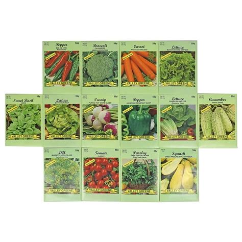 14 Packets Variety Premium Vegetable Seeds All Seeds Are Heirloom 100