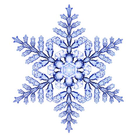 Fun Facts About Snowflakes And All There Is To Know About Snowhow To