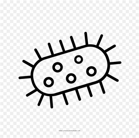 Bacteria Clipart Bacterial Cell Cell Wall Clipart Flyclipart