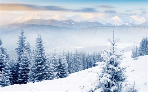 Free Download Winter Scenes Desktop Wallpaper 1920x1200 For Your