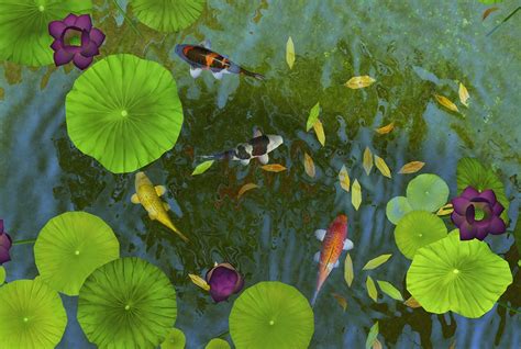 Realistic Colorful Koi Fish With Animation For Ts4 Ponds Sims 4 Studio