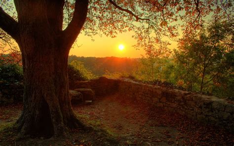 Beautiful Autumn Sunset Random Wallpaper 32882124 Fanpop