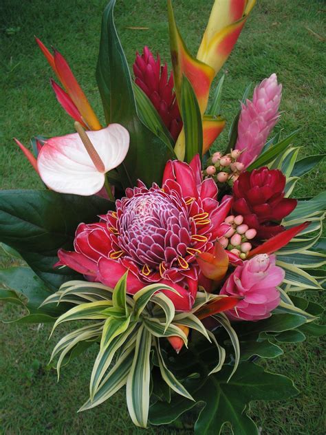 Bouquet En Flores Exoticas Alpinias Baston Del Emperador Heliconias Anturios Y F Fresh