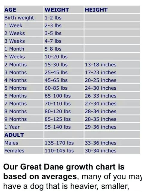 Great Dane Growth Chart Male