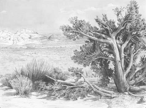Landscapes Graphite Pencil Drawings By Diane Wright Drawings Pencil Drawings Doodle Drawings