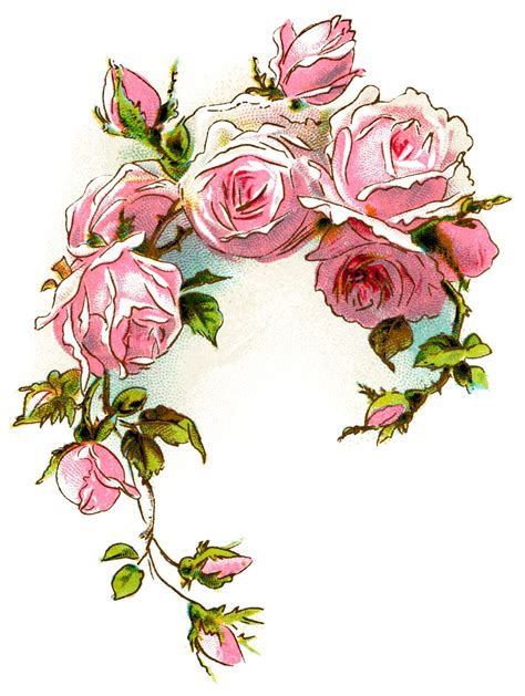 Olddesignshoprosesandliliesfirstdaypinkroses Images Vintage Clip Art