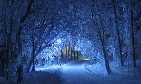 冬、夜、青、シェード、木、雪に覆われた、コールド、雪が多い、覆われた、ランプ、フィンランド Pikist