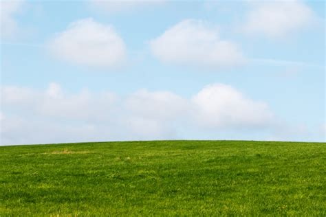 Green Grass Blue Sky Kostenloses Stock Bild Public Domain Pictures