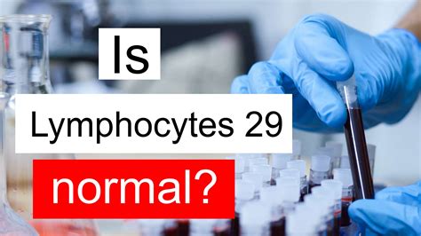 Is Lymphocytes 29 Normal High Or Low What Does Lymphocytes Level 29 Mean