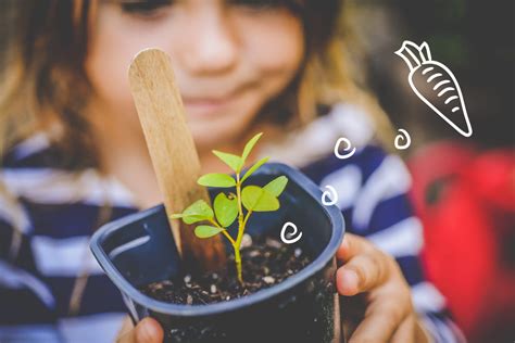 5 Easy Plants For Kids To Grow On Their Own