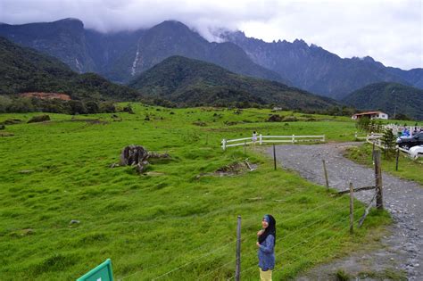 Terdapat banyak tempat menarik di sabah. Desa Cattle (Tempat Menarik Di Kundasang, Sabah)