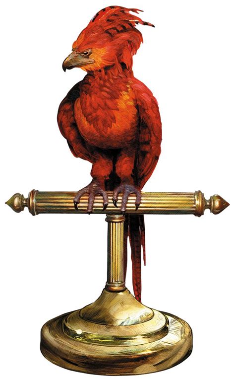 957 Best Gryphon And Phoenix Images On Pinterest Phoenix Griffins