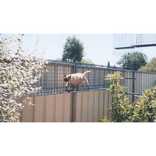 Outdoor cat enclosures help keep your cat safe outside. Cat Enclosures - The Australian Made Campaign