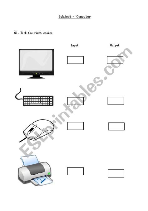 English Worksheets Computer Input Output Devices